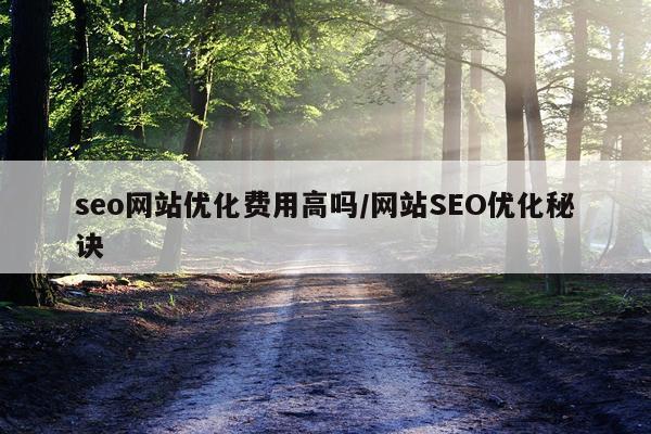 seo网站优化费用高吗/网站SEO优化秘诀