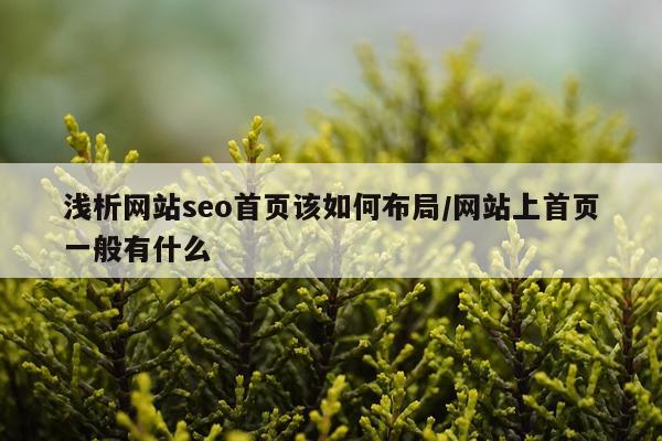 浅析网站seo首页该如何布局/网站上首页一般有什么