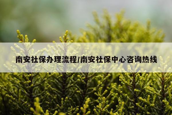 南安社保办理流程/南安社保中心咨询热线