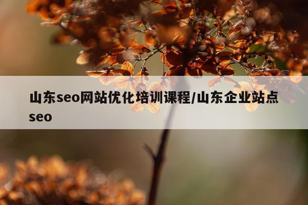 山东seo网站优化培训课程/山东企业站点seo