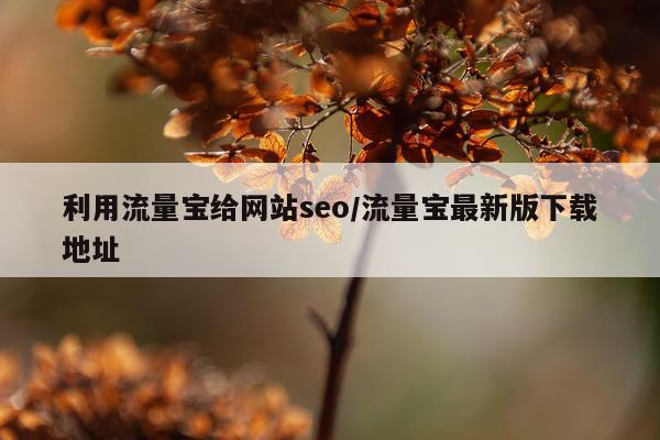 利用流量宝给网站seo/流量宝最新版下载地址