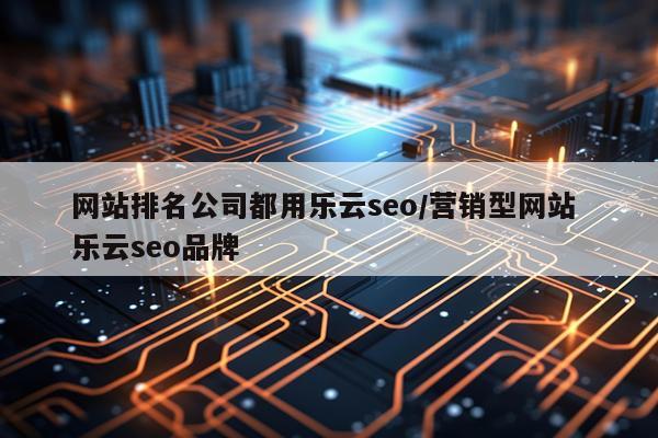 网站排名公司都用乐云seo/营销型网站 乐云seo品牌