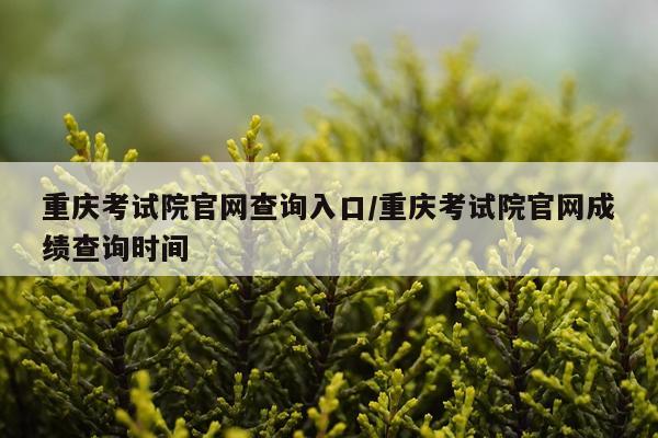 重庆考试院官网查询入口/重庆考试院官网成绩查询时间