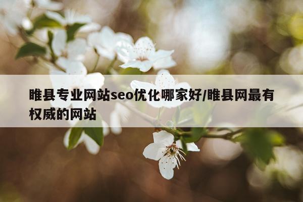 睢县专业网站seo优化哪家好/睢县网最有权威的网站