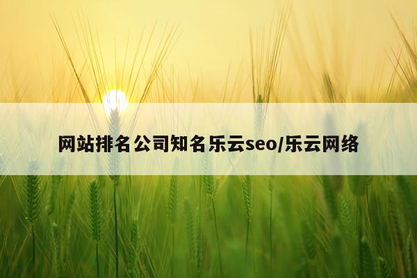 网站排名公司知名乐云seo/乐云网络