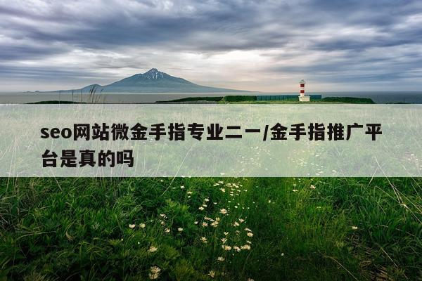 seo网站微金手指专业二一/金手指推广平台是真的吗