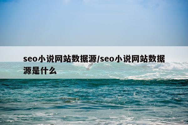 seo小说网站数据源/seo小说网站数据源是什么