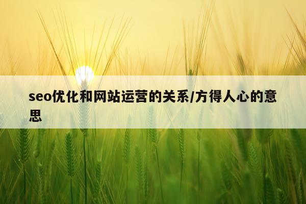 seo优化和网站运营的关系/方得人心的意思