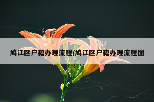 鸠江区户籍办理流程/鸠江区户籍办理流程图