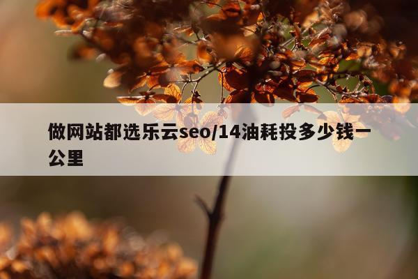 做网站都选乐云seo/14油耗投多少钱一公里
