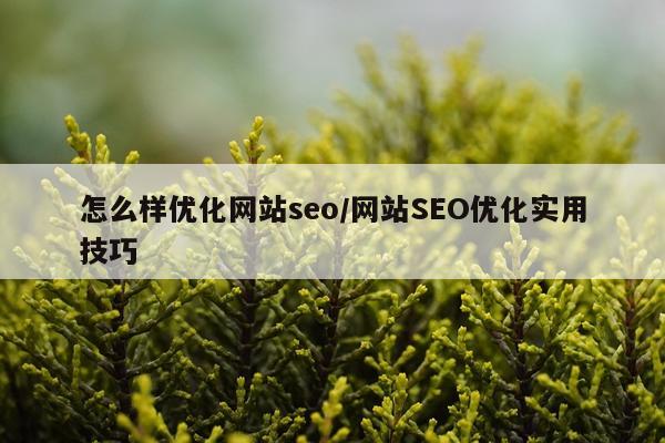 怎么样优化网站seo/网站SEO优化实用技巧
