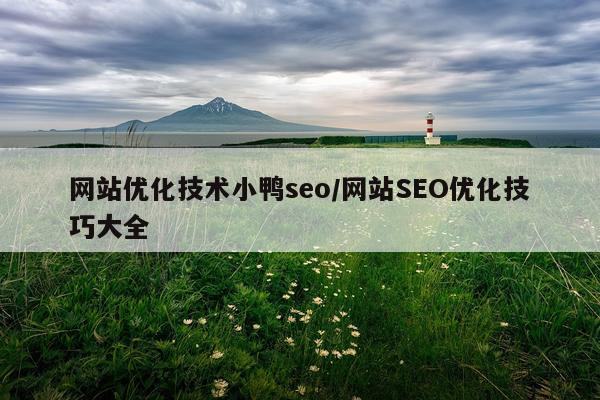 网站优化技术小鸭seo/网站SEO优化技巧大全