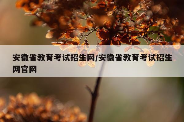 安徽省教育考试招生网/安徽省教育考试招生网官网