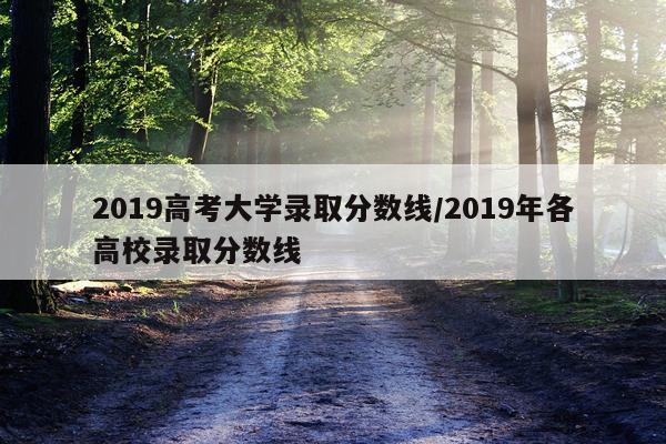 2019高考大学录取分数线/2019年各高校录取分数线