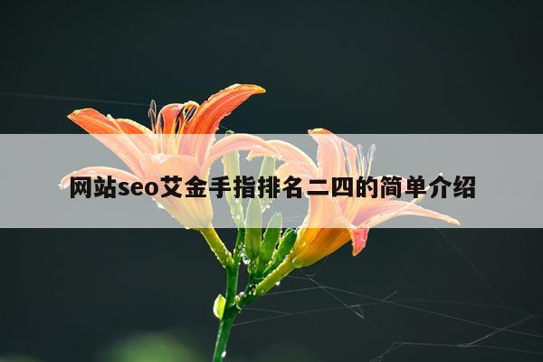 网站seo艾金手指排名二四的简单介绍