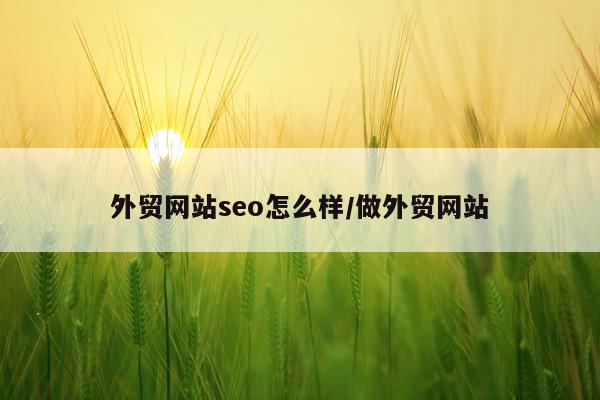 外贸网站seo怎么样/做外贸网站