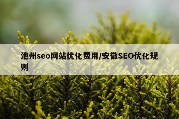 池州seo网站优化费用/安徽SEO优化规则