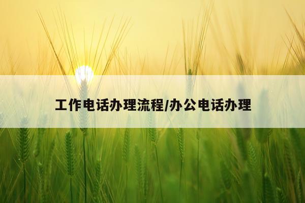 工作电话办理流程/办公电话办理