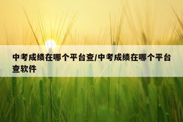 中考成绩在哪个平台查/中考成绩在哪个平台查软件