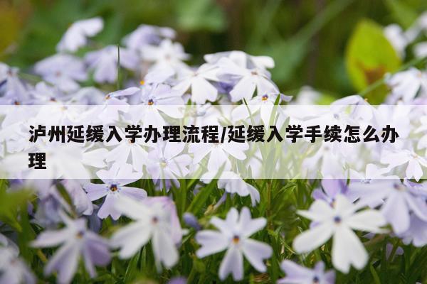 泸州延缓入学办理流程/延缓入学手续怎么办理