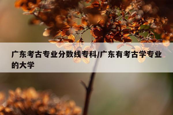 广东考古专业分数线专科/广东有考古学专业的大学
