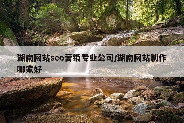 湖南网站seo营销专业公司/湖南网站制作哪家好