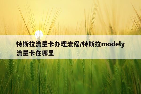 特斯拉流量卡办理流程/特斯拉modely流量卡在哪里