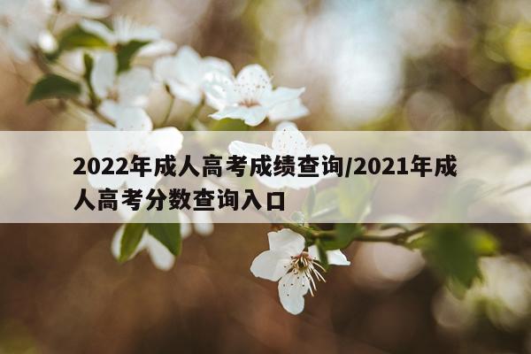2022年成人高考成绩查询/2021年成人高考分数查询入口