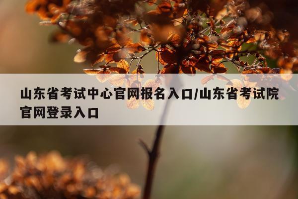 山东省考试中心官网报名入口/山东省考试院官网登录入口