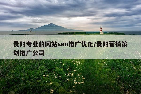 贵阳专业的网站seo推广优化/贵阳营销策划推广公司