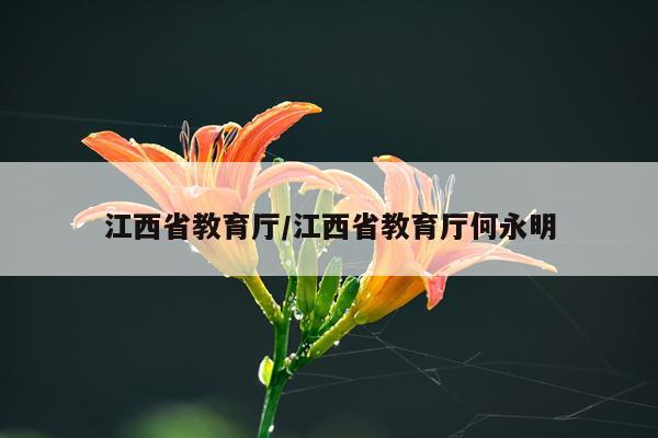 江西省教育厅/江西省教育厅何永明