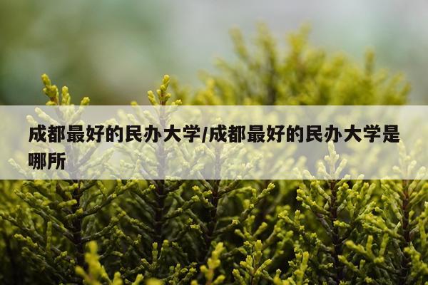 成都最好的民办大学/成都最好的民办大学是哪所