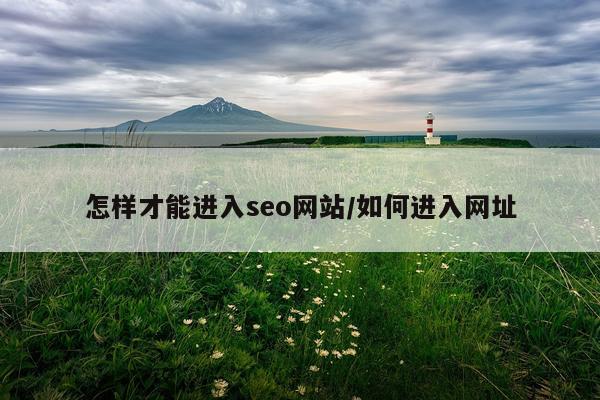 怎样才能进入seo网站/如何进入网址