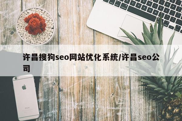 许昌搜狗seo网站优化系统/许昌seo公司
