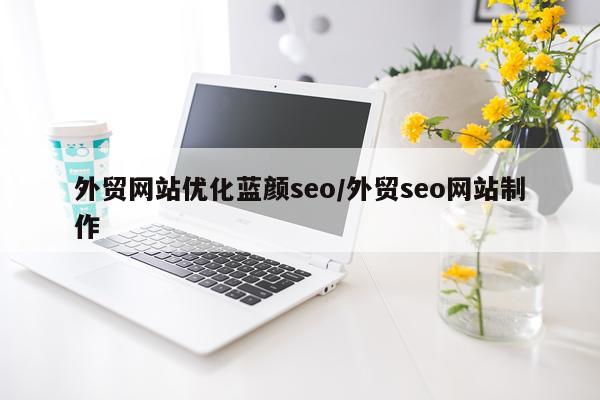 外贸网站优化蓝颜seo/外贸seo网站制作