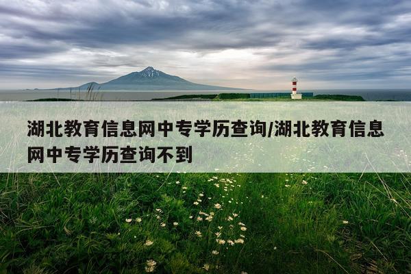 湖北教育信息网中专学历查询/湖北教育信息网中专学历查询不到