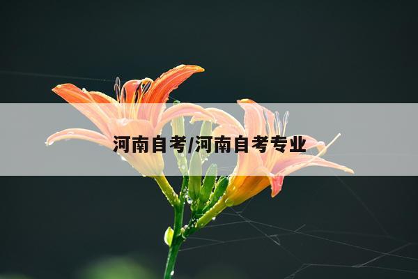 河南自考/河南自考专业