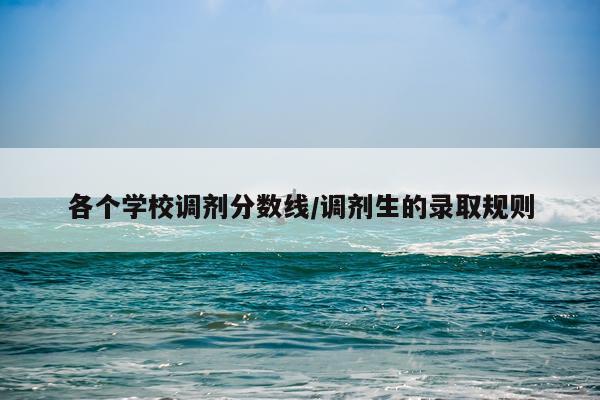 各个学校调剂分数线/调剂生的录取规则