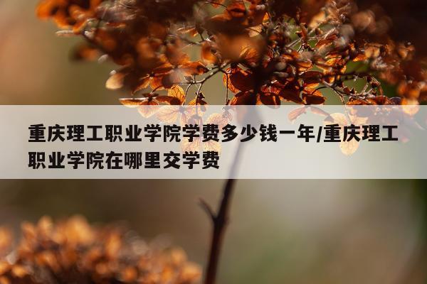 重庆理工职业学院学费多少钱一年/重庆理工职业学院在哪里交学费