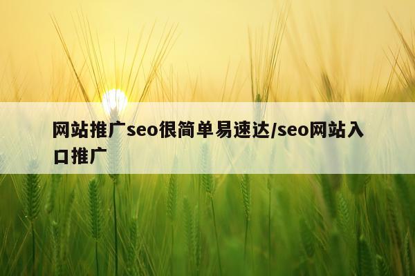 网站推广seo很简单易速达/seo网站入口推广