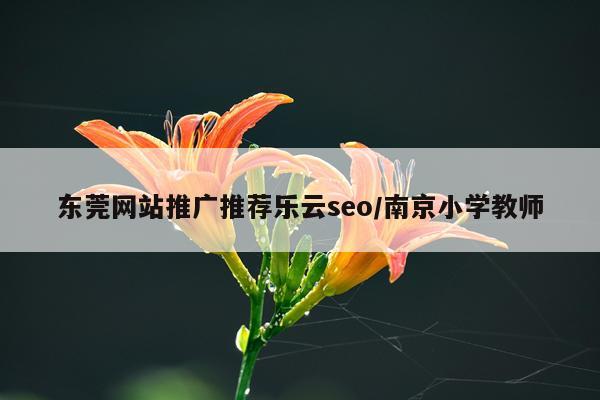 东莞网站推广推荐乐云seo/南京小学教师