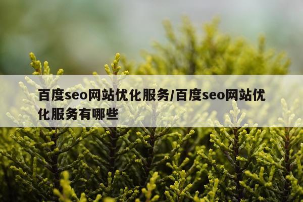 百度seo网站优化服务/百度seo网站优化服务有哪些