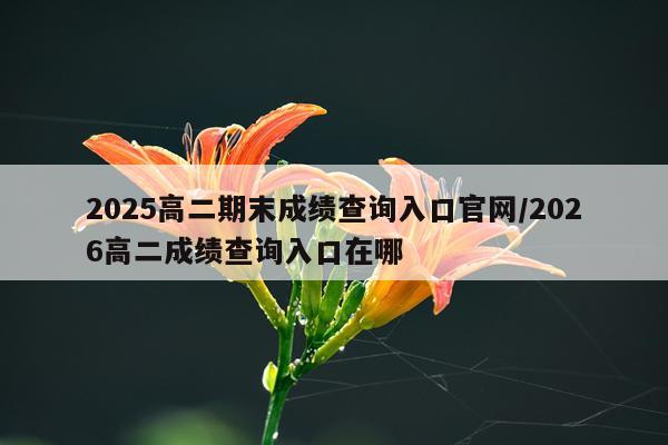 2025高二期末成绩查询入口官网/2026高二成绩查询入口在哪