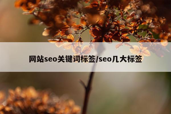 网站seo关键词标签/seo几大标签