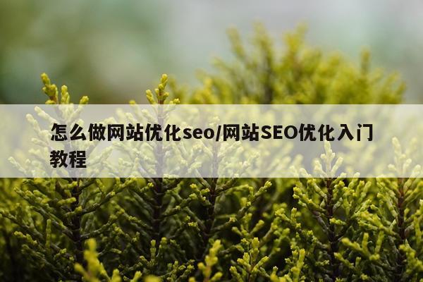 怎么做网站优化seo/网站SEO优化入门教程