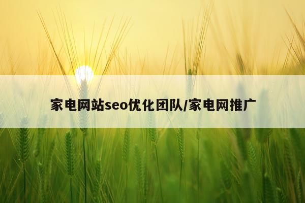 家电网站seo优化团队/家电网推广