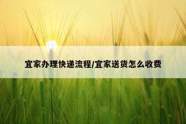 宜家办理快递流程/宜家送货怎么收费