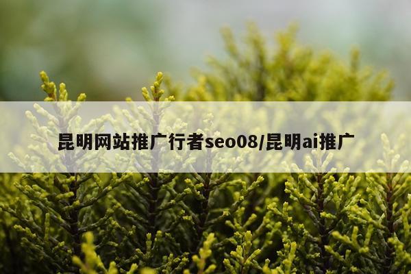昆明网站推广行者seo08/昆明ai推广