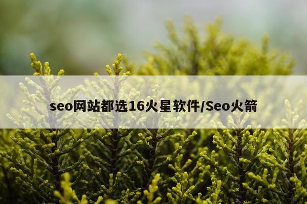 seo网站都选16火星软件/Seo火箭