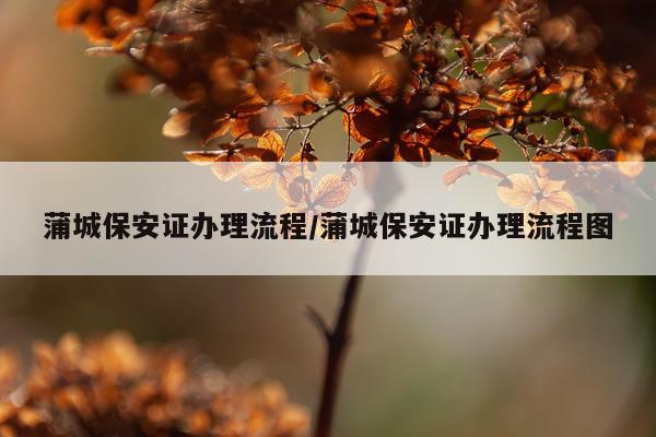 蒲城保安证办理流程/蒲城保安证办理流程图